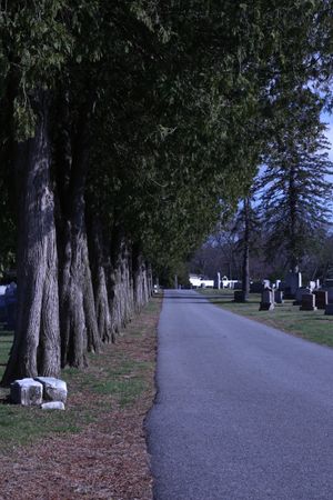 Bad white balance :(